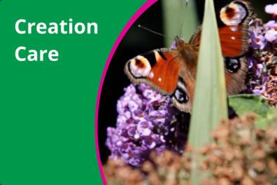 Taking Action on Eco Church